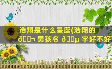 浩翔是什么星座(浩翔的 🐬 男孩名 🌵 字好不好)